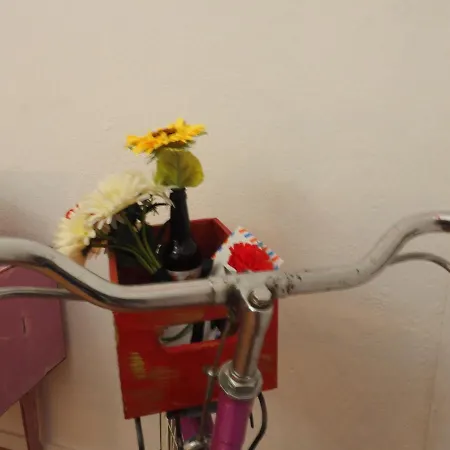 The Portuguese Element Faro