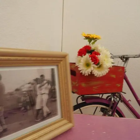 The Portuguese Element Faro